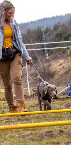 Index 1400px 20220312 IMG 1431