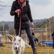 Index 1400px 20220312 IMG 1441