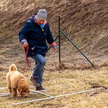 Index 1400px 20220312 IMG 1445