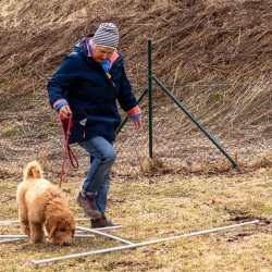 Index 1400px 20220312 IMG 1445