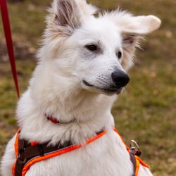 Index 1400px 20220312 IMG 1449