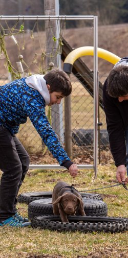 Index 1400px 20220312 IMG 1452