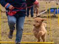 Index 1400px 20220312 IMG 1456