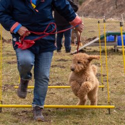 Index 1400px 20220312 IMG 1456