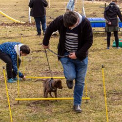 Index 1400px 20220312 IMG 1459