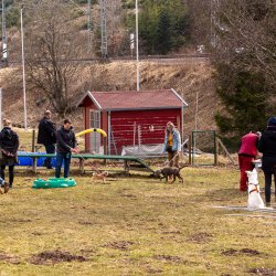 Index 1400px 20220312 IMG 1461