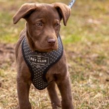 Index 1400px 20220312 IMG 1463