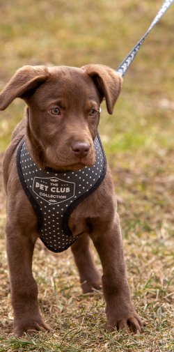 Index 1400px 20220312 IMG 1463