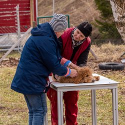 Index 1400px 20220312 IMG 1468