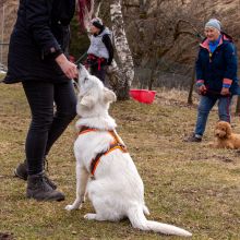 Index 1400px 20220312 IMG 1475