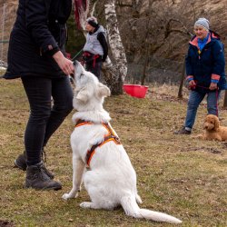 Index 1400px 20220312 IMG 1475