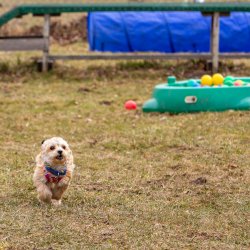 Index 1400px 20220312 IMG 1477