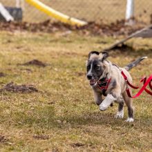 Index 1400px 20220312 IMG 1482