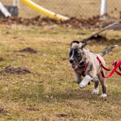 Index 1400px 20220312 IMG 1482