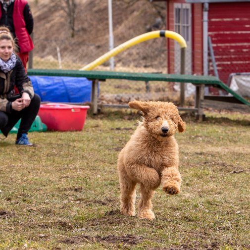 Index 1400px 20220312 IMG 1493