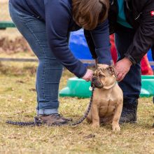 Index 1400px 20220312 IMG 1496