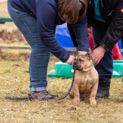 Index 1400px 20220312 IMG 1496