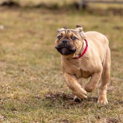 Index 1400px 20220312 IMG 1502