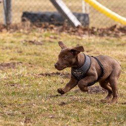 Index 1400px 20220312 IMG 1506