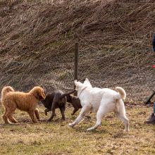 Index 1400px 20220312 IMG 1517