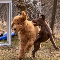 Index 1400px 20220312 IMG 1527