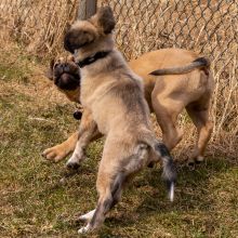 Index 1400px 20220312 IMG 1532