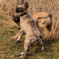 Index 1400px 20220312 IMG 1532