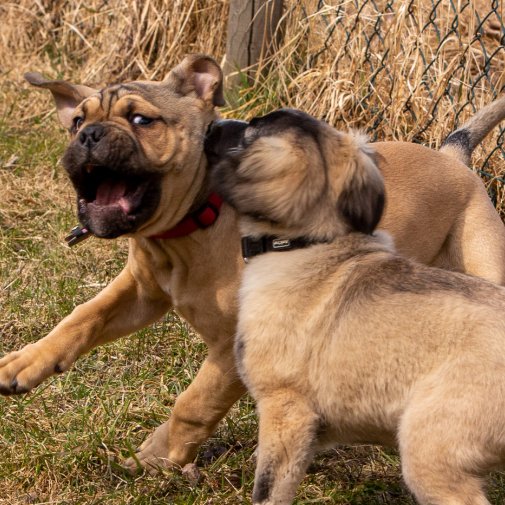 Index 1400px 20220312 IMG 1533