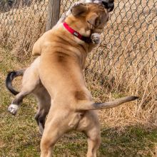 Index 1400px 20220312 IMG 1537