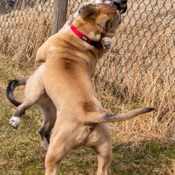 Index 1400px 20220312 IMG 1537