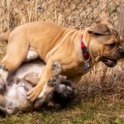 Index 1400px 20220312 IMG 1539