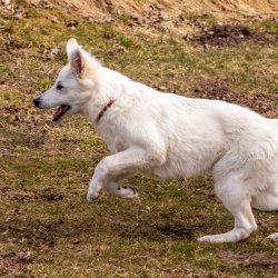 Index 1400px 20220312 IMG 1545