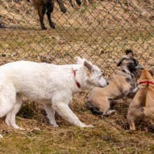 Index 1400px 20220312 IMG 1551