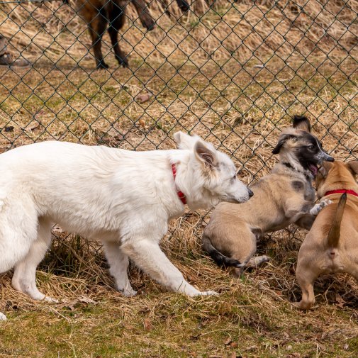 Index 1400px 20220312 IMG 1551