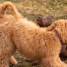 Index 1400px 20220312 IMG 1552