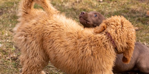 Index 1400px 20220312 IMG 1552