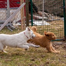 Index 1400px 20220312 IMG 1554