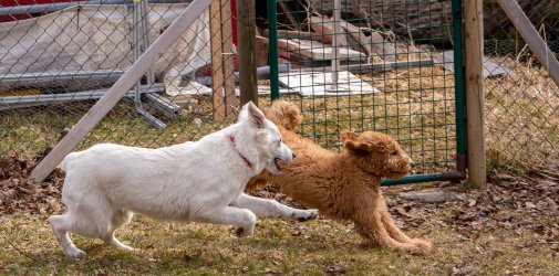 Index 1400px 20220312 IMG 1554