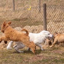 Index 1400px 20220312 IMG 1562