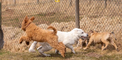 Index 1400px 20220312 IMG 1562