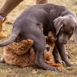 Index 1400px 20220312 IMG 1572