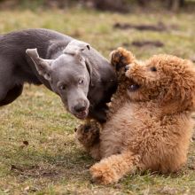 Index 1400px 20220312 IMG 1575