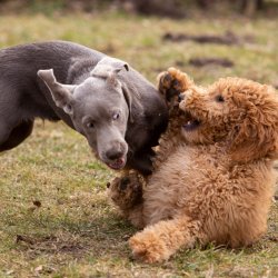 Index 1400px 20220312 IMG 1575