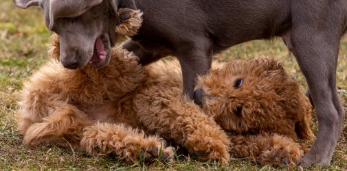 Index 1400px 20220312 IMG 1578