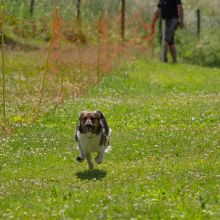 20220612 IMG 1857 1400