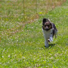 20220612 IMG 1859 1400