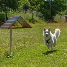 20220612 IMG 1865 1400