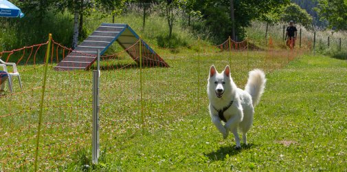 20220612 IMG 1865 1400