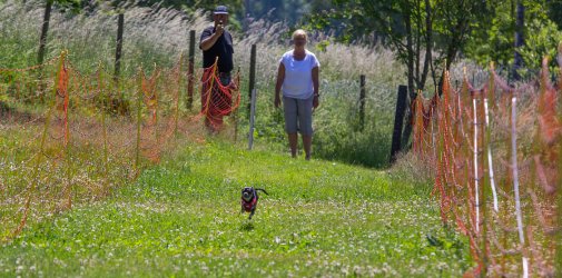 20220612 IMG 1871 1400