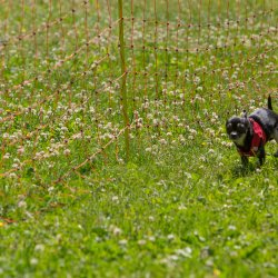 20220612 IMG 1874 1400